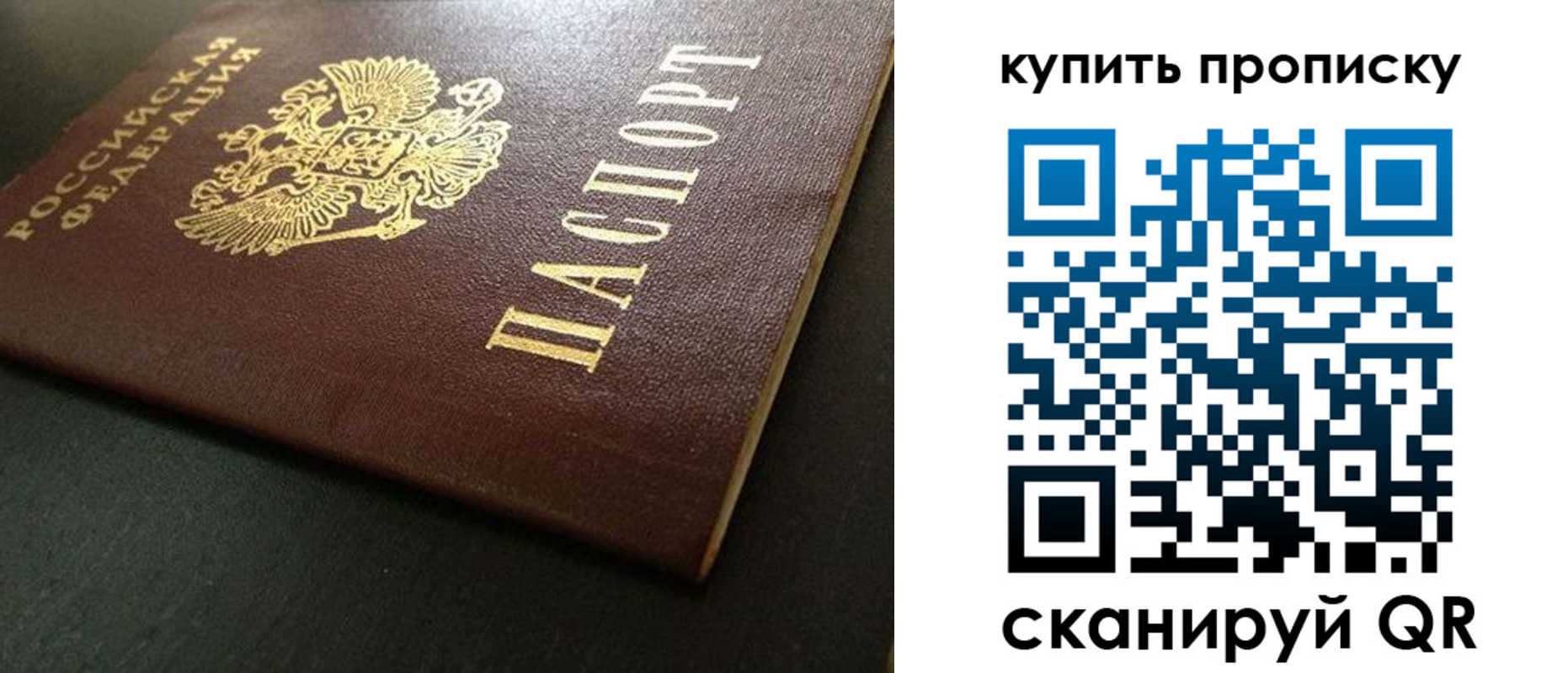 прописка законно в Новом Осколе